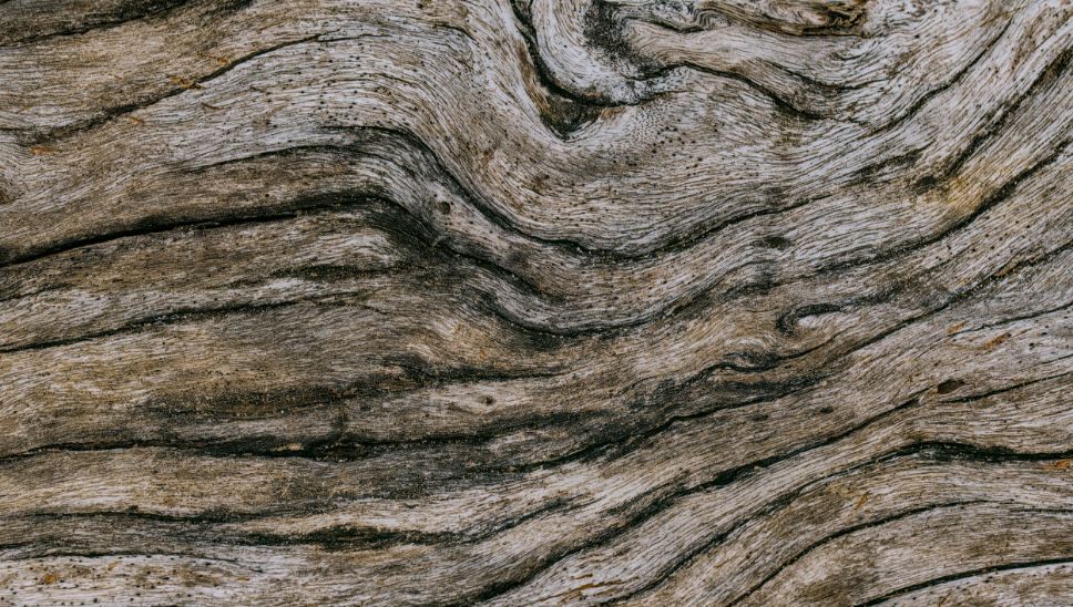 03 Sneak Peak Stiegnhaus Mood