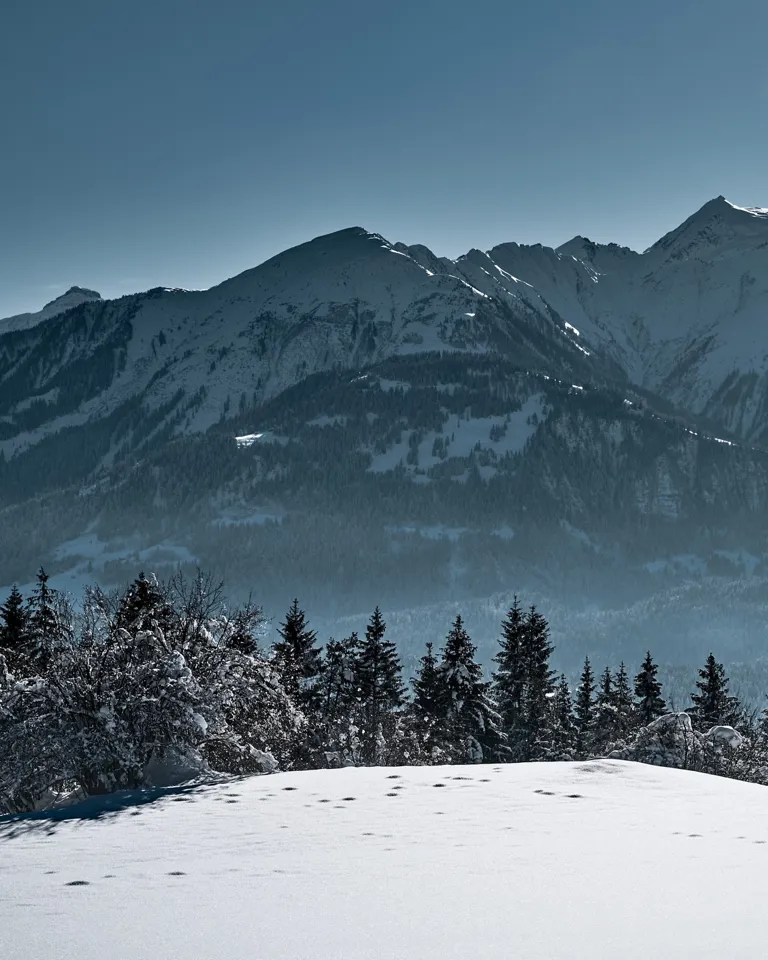 004 The Hide Hotels Flims Mountains