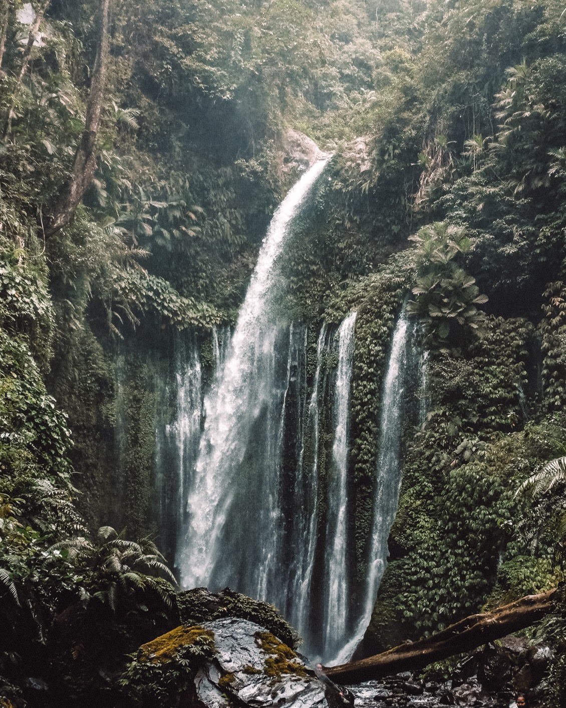 02 Where To Go In 2023 Lombok Indonesia Jungle