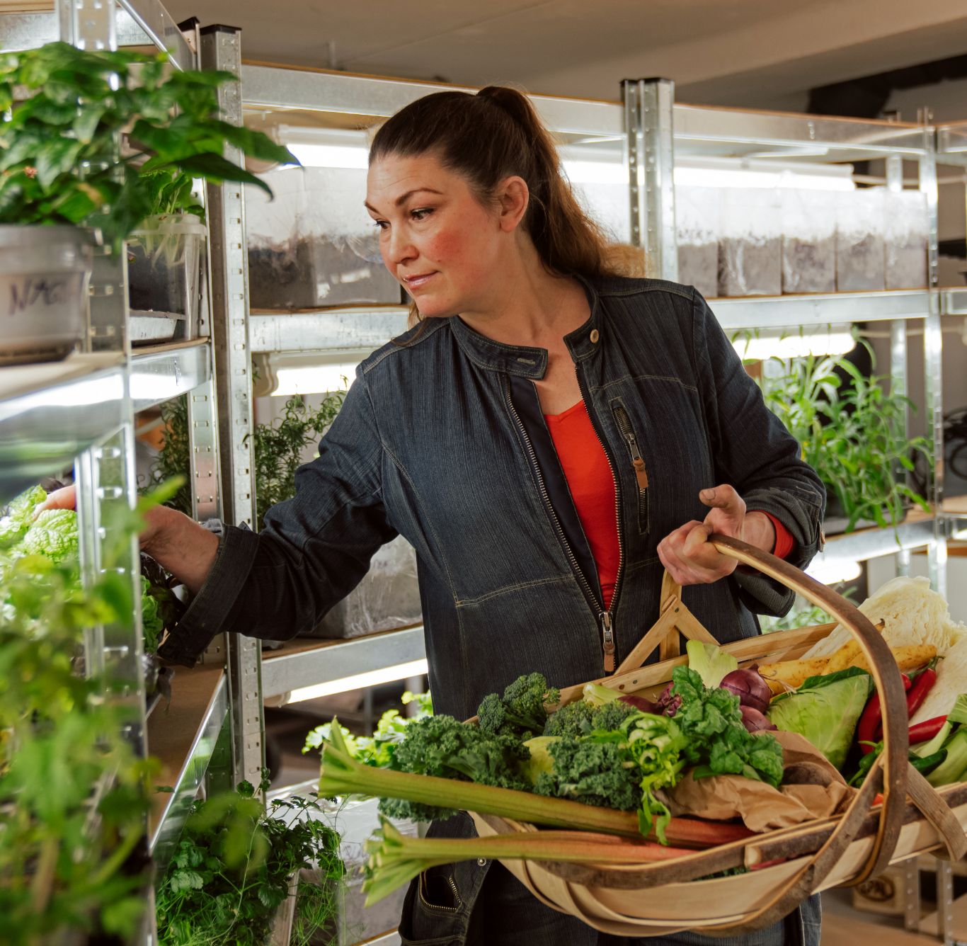 01 Blique By Nobis Indoor Outdoor Farming KV