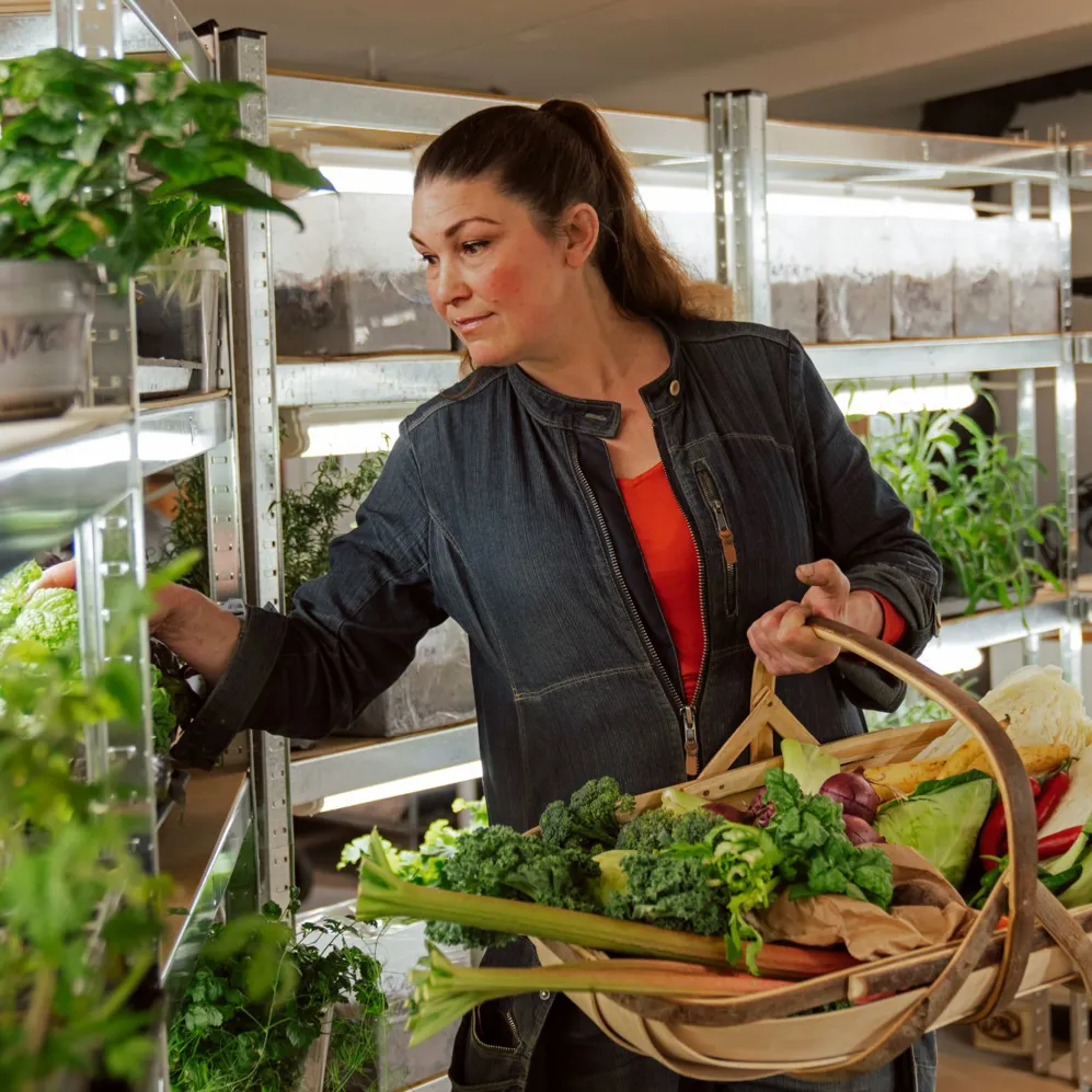 01 Blique By Nobis Indoor Outdoor Farming KV