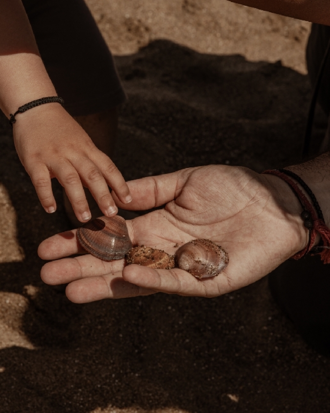 Where To Go 2024 11.2