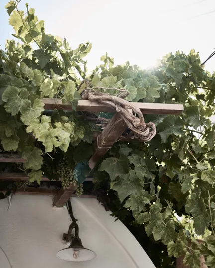 003 Istoria Destination Santorini Wine