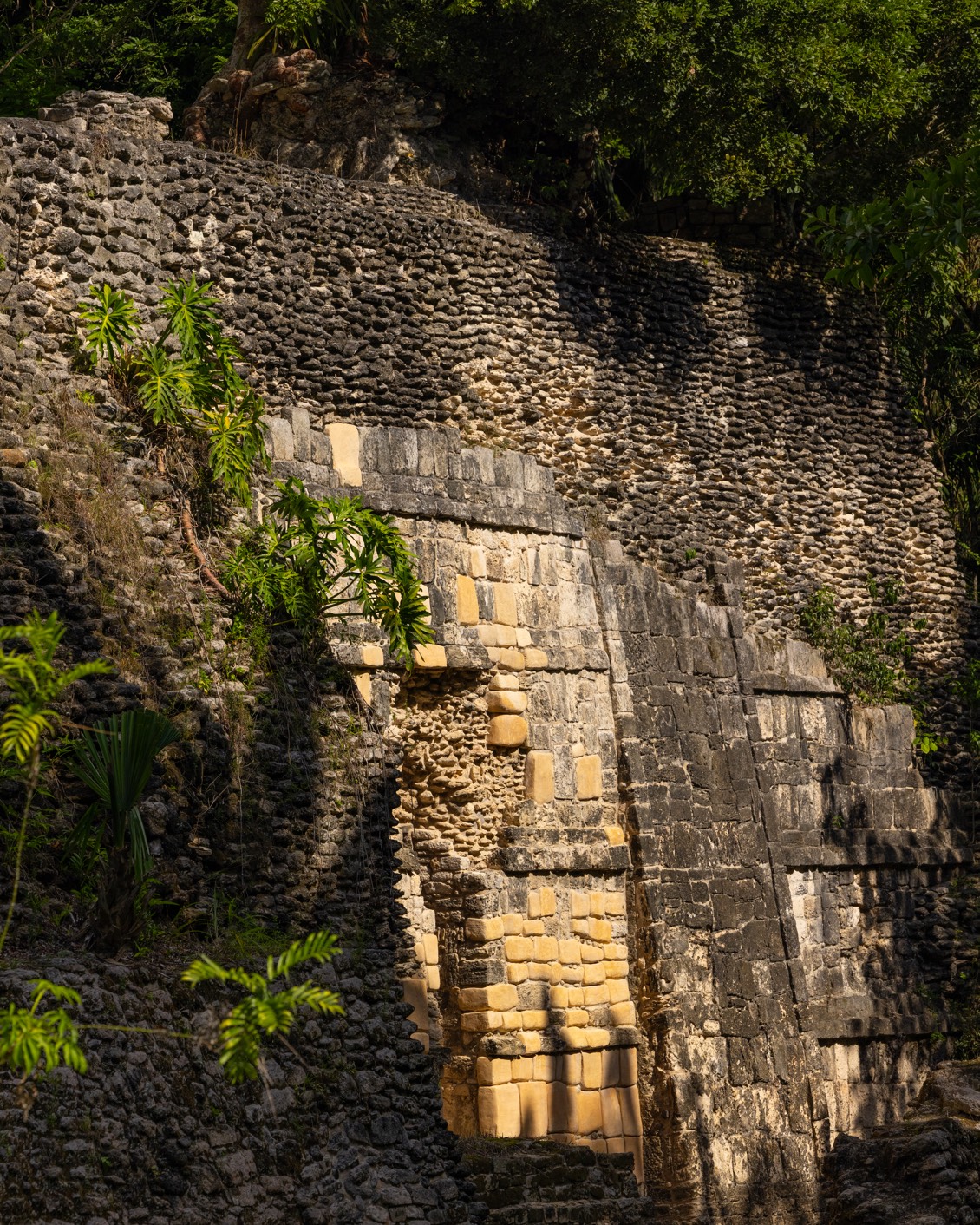 006 Rodrigo Juarez Kohunlich Carousel 01