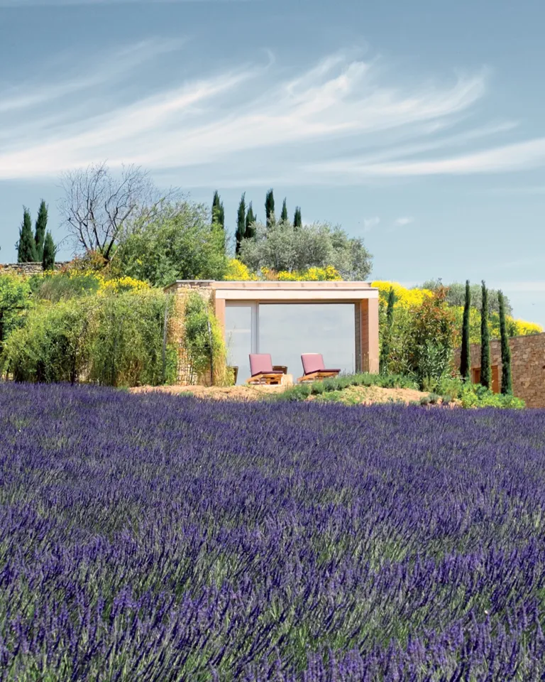 Culture Article Patone Veri Peri 10 Les Andéols