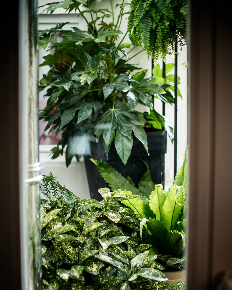 03 Destination Paris