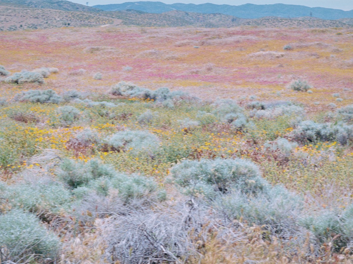 DH Culture BP Arianna Lago 06