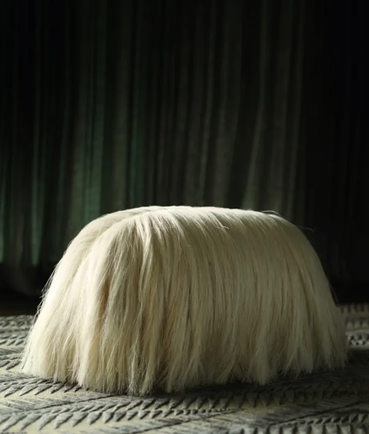 Fernando Laposse The Dog