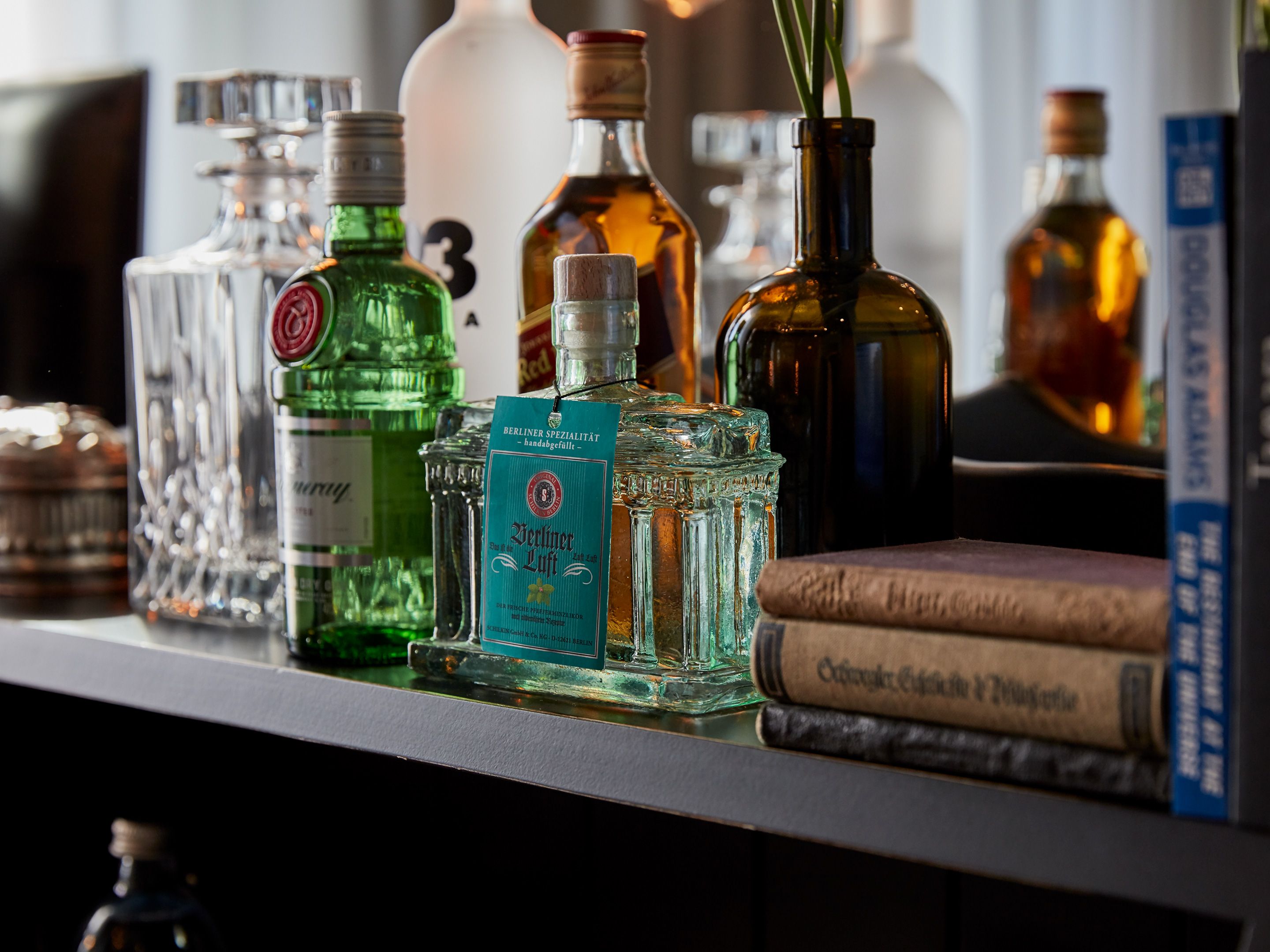 Sir Savigny Suite, Sir Savigny